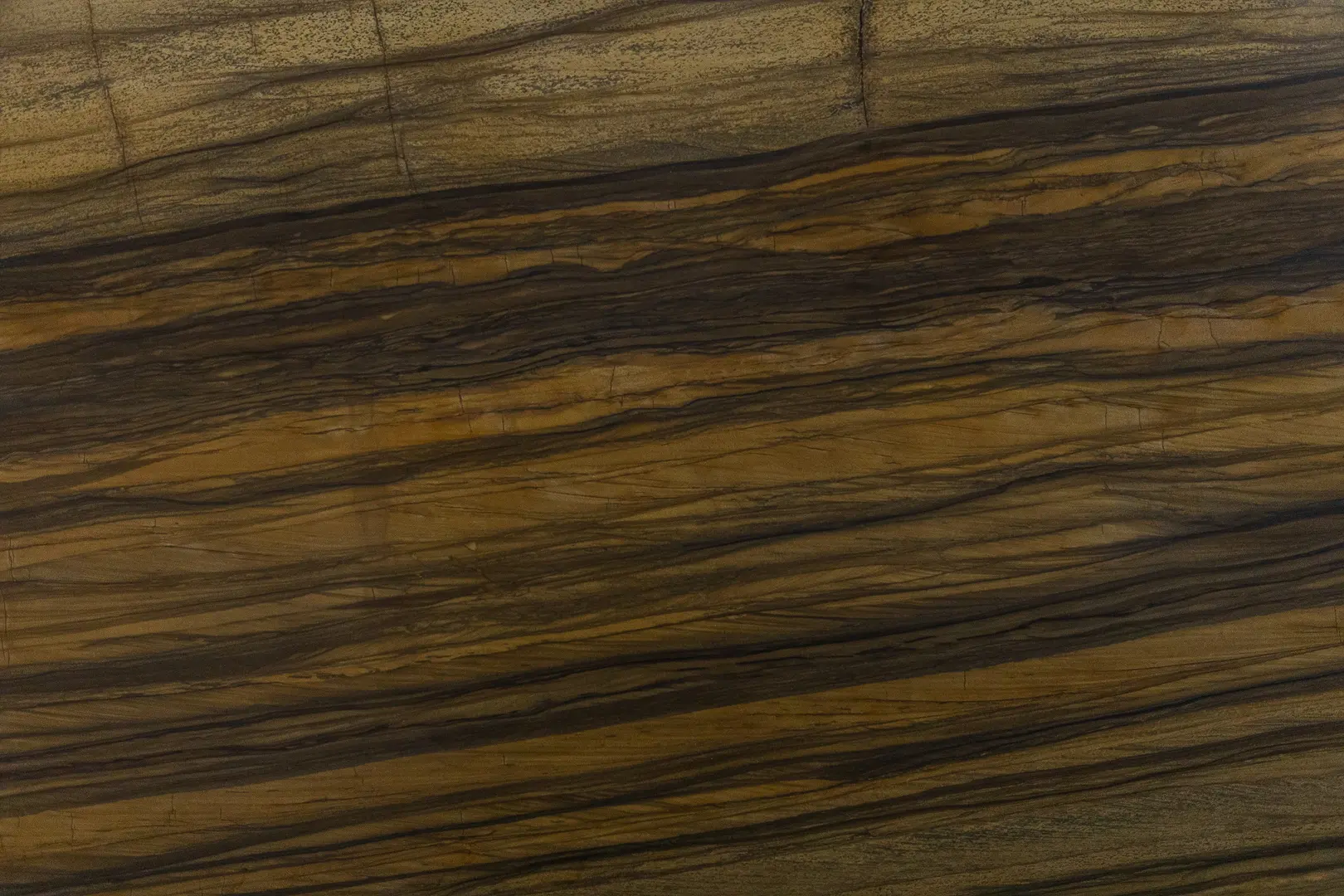 Leathered Sandalous Quartzite slab showcasing rich golden-brown tones with dark espresso veining — Brazilian natural stone ideal for luxury interiors and textured surfaces.